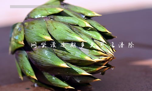 网贷没逾期多久可以清除 网贷没逾期多久可以清除
