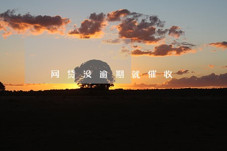 网贷没逾期就催收