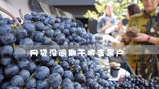 网贷没逾期干嘛变黑户 网贷没逾期干嘛变黑户