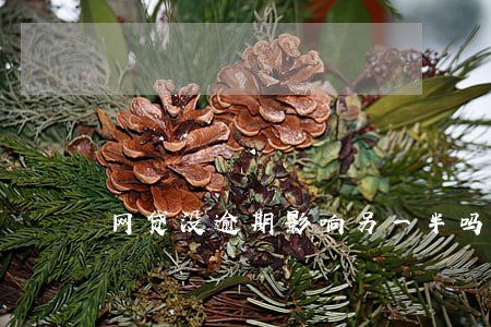 网贷没逾期影响另一半吗