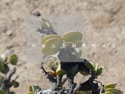 网贷没逾期影响孩子 网贷没逾期影响孩子