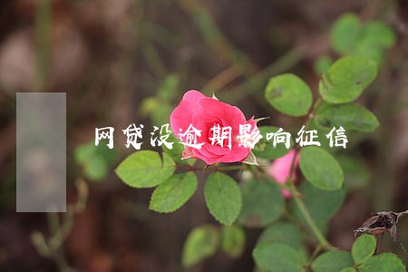 网贷没逾期影响征信 网贷没逾期影响征信