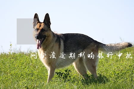 网贷没逾期影响银行审批吗 网贷没逾期影响银行审批吗