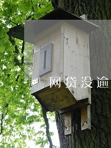 网贷没逾期征信上有记录吗 网贷没逾期征信上有记录吗