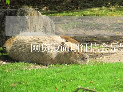 网贷没逾期征信会是黑户吗