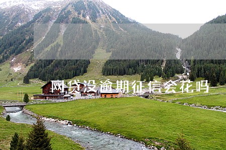 网贷没逾期征信会花吗 网贷没逾期征信会花吗