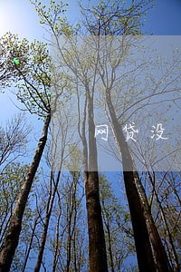 网贷没逾期怎么协商 网贷没逾期怎么协商