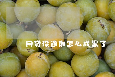 网贷没逾期怎么成黑了 网贷没逾期怎么成黑了