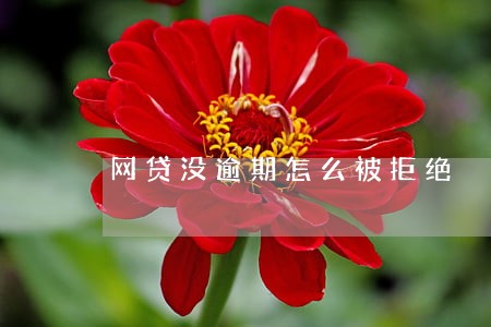 网贷没逾期怎么被拒绝 网贷没逾期怎么被拒绝