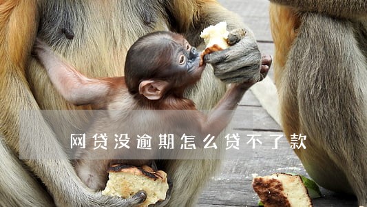 网贷没逾期怎么贷不了款 网贷没逾期怎么贷不了款