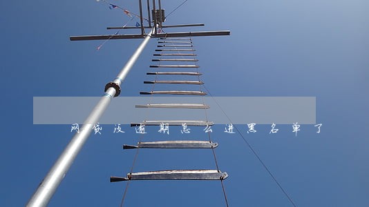 网贷没逾期怎么进黑名单了 网贷没逾期怎么进黑名单了