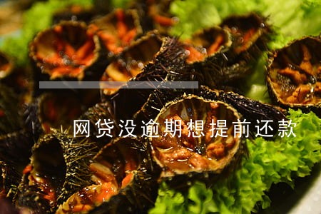 网贷没逾期想提前还款 网贷没逾期想提前还款