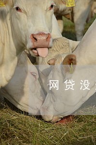 网贷没逾期房贷可以办么