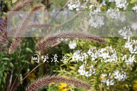 网贷没逾期打电话询问联系人 网贷没逾期打电话询问联系人