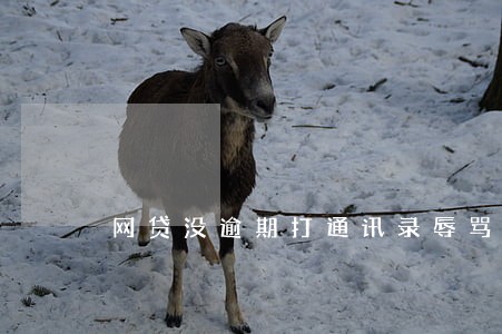 网贷没逾期打通讯录辱骂亲友 网贷没逾期打通讯录辱骂亲友