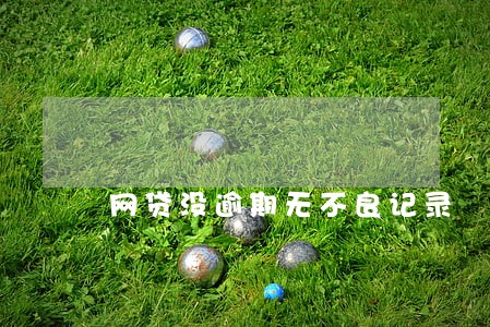 网贷没逾期无不良记录 网贷没逾期无不良记录