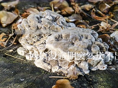 网贷没逾期突然贷不出来了