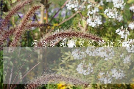 网贷没逾期突然都借不出来了 网贷没逾期突然都借不出来了