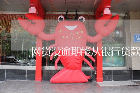 网贷没逾期能从银行贷款吗 网贷没逾期能从银行贷款吗