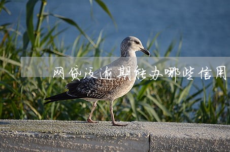 网贷没逾期能办哪些信用卡 网贷没逾期能办哪些信用卡