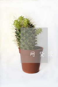网贷没逾期能在银行工作吗 网贷没逾期能在银行工作吗