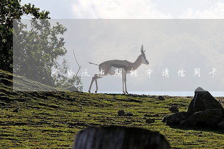 网贷没逾期能申请信用卡吗