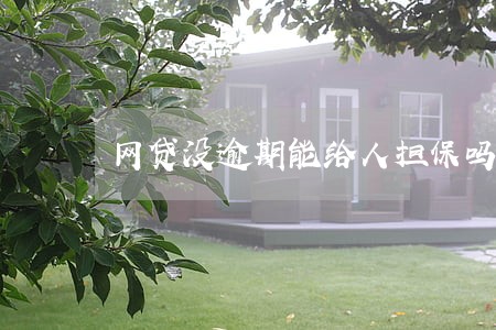 网贷没逾期能给人担保吗