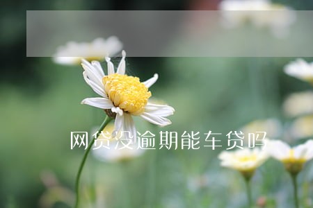 网贷没逾期能车贷吗 网贷没逾期能车贷吗