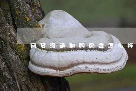 网贷没逾期购房会怎么样