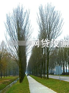 网贷没逾期车贷容易审批吗 网贷没逾期车贷容易审批吗