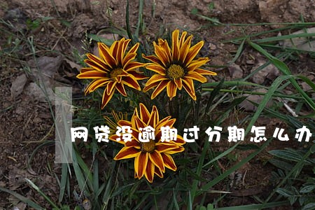 网贷没逾期过分期怎么办 网贷没逾期过分期怎么办
