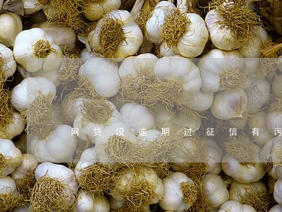 网贷没逾期过征信有污点吗 网贷没逾期过征信有污点吗