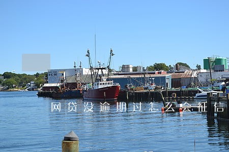网贷没逾期过怎么会征信不好 网贷没逾期过怎么会征信不好