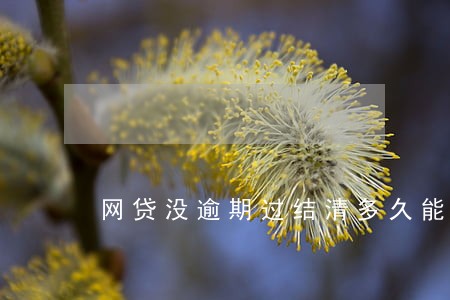 网贷没逾期过结清多久能清除 网贷没逾期过结清多久能清除