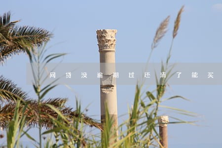 网贷没逾期过还清了能买房吗 网贷没逾期过还清了能买房吗