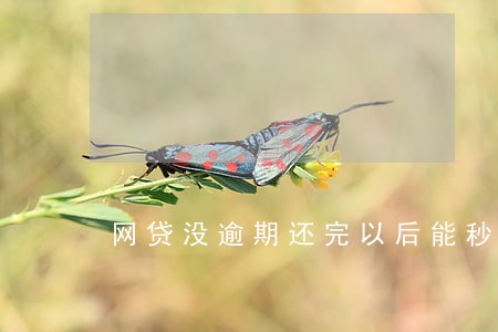 网贷没逾期还完以后能秒批吗 网贷没逾期还完以后能秒批吗