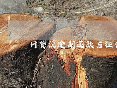网贷没逾期还款后征信多久消除 网贷没逾期还款后征信多久消除