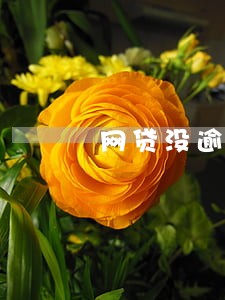 网贷没逾期还清了可以房贷吗 网贷没逾期还清了可以房贷吗