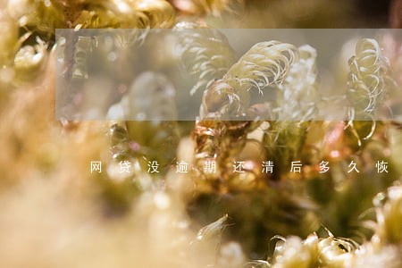 网贷没逾期还清后多久恢复正常 网贷没逾期还清后多久恢复正常