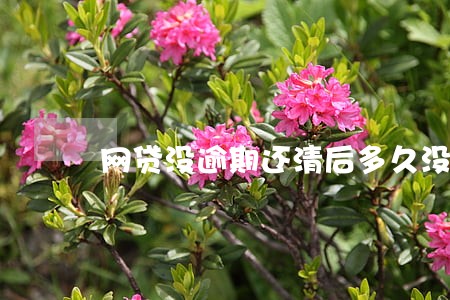 网贷没逾期还清后多久没记录 网贷没逾期还清后多久没记录