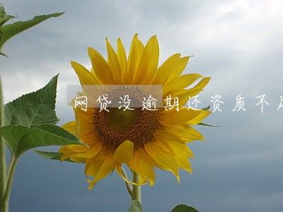 网贷没逾期还资质不足
