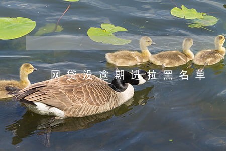 网贷没逾期进拉黑名单 网贷没逾期进拉黑名单