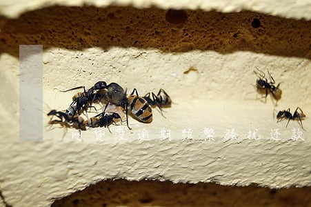 网贷没逾期频繁骚扰还款 网贷没逾期频繁骚扰还款