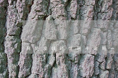 网贷没钱还信用卡逾期一个月