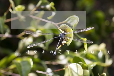 网贷没钱还可以逾期多久呢 网贷没钱还可以逾期多久呢