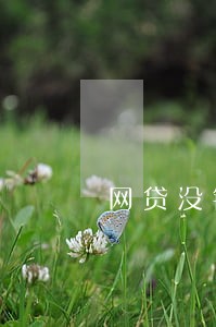 网贷没钱还逾期可以少给吗 网贷没钱还逾期可以少给吗