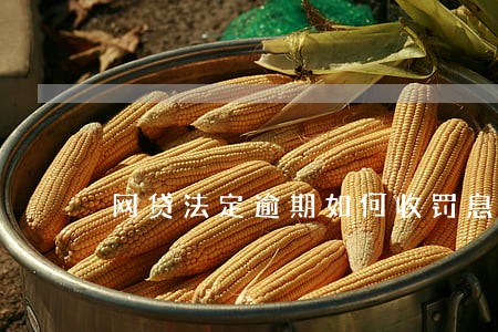 网贷法定逾期如何收罚息 网贷法定逾期如何收罚息