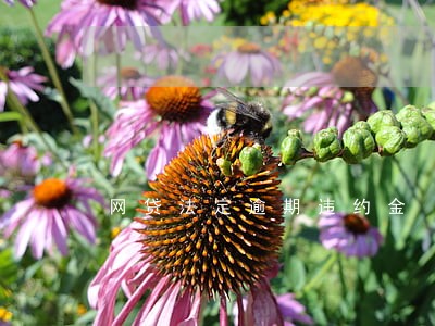 网贷法定逾期违约金 网贷法定逾期违约金