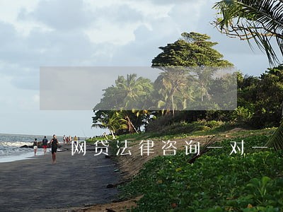 网贷法律咨询一对一 网贷法律咨询一对一