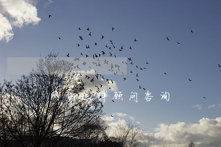 网贷法律顾问咨询 网贷法律顾问咨询